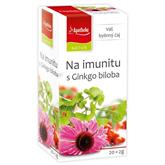 APOTHEKE NATUR Imunita s ginkgo 20x2g