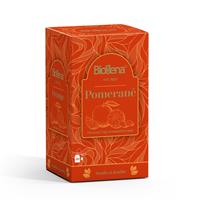 BIOGENA TRADITIONAL Pomeranč 20x2g
