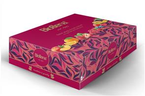 BIOGENA TRADITIONAL Tea Maxi 6x10sáčků 