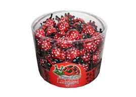 LADY BIRD čokoládové berušky s krémem v dóze 800g(100ks)